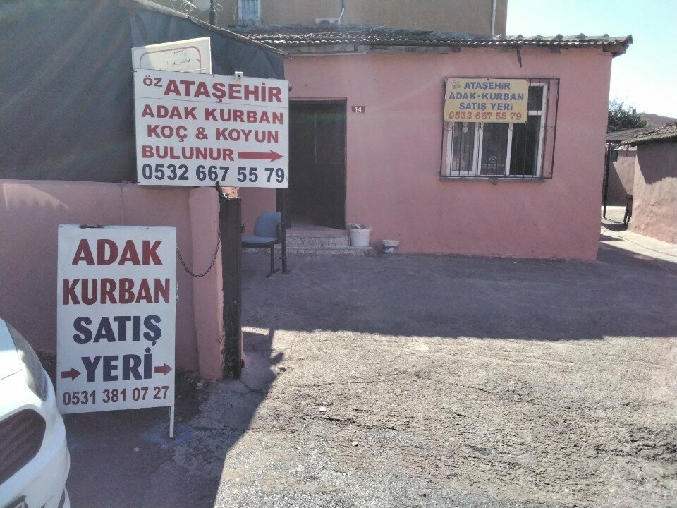 Intensive animal farming Oz Atasehir Adak Kurban Sales Place, Istanbul, photo