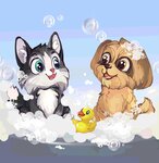 Чистые. Пушистые (Rostovskaya Street, 67), pet salon