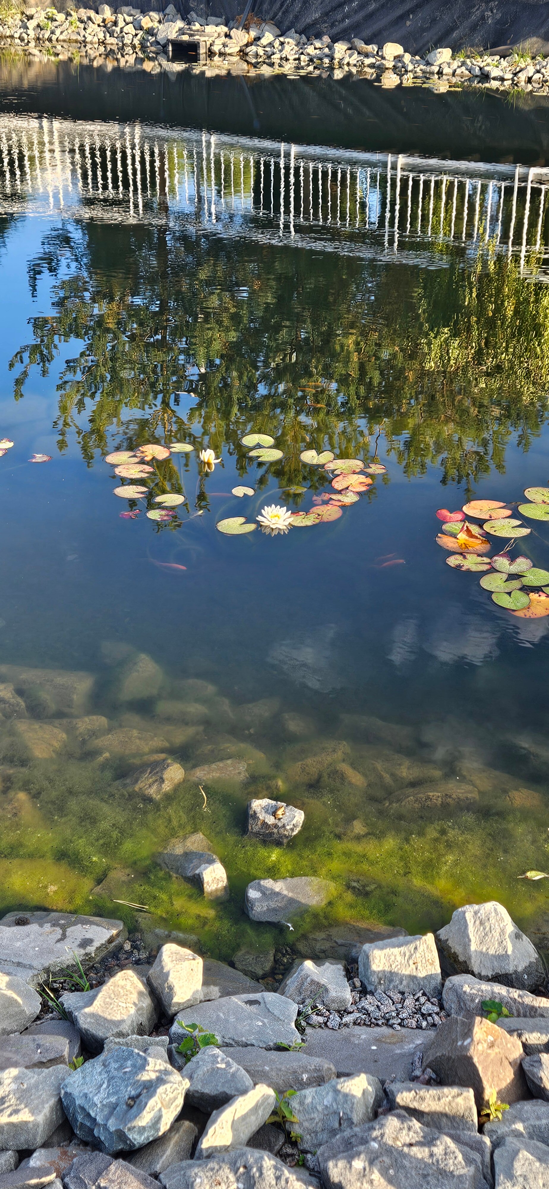 Фото Парк-отель История