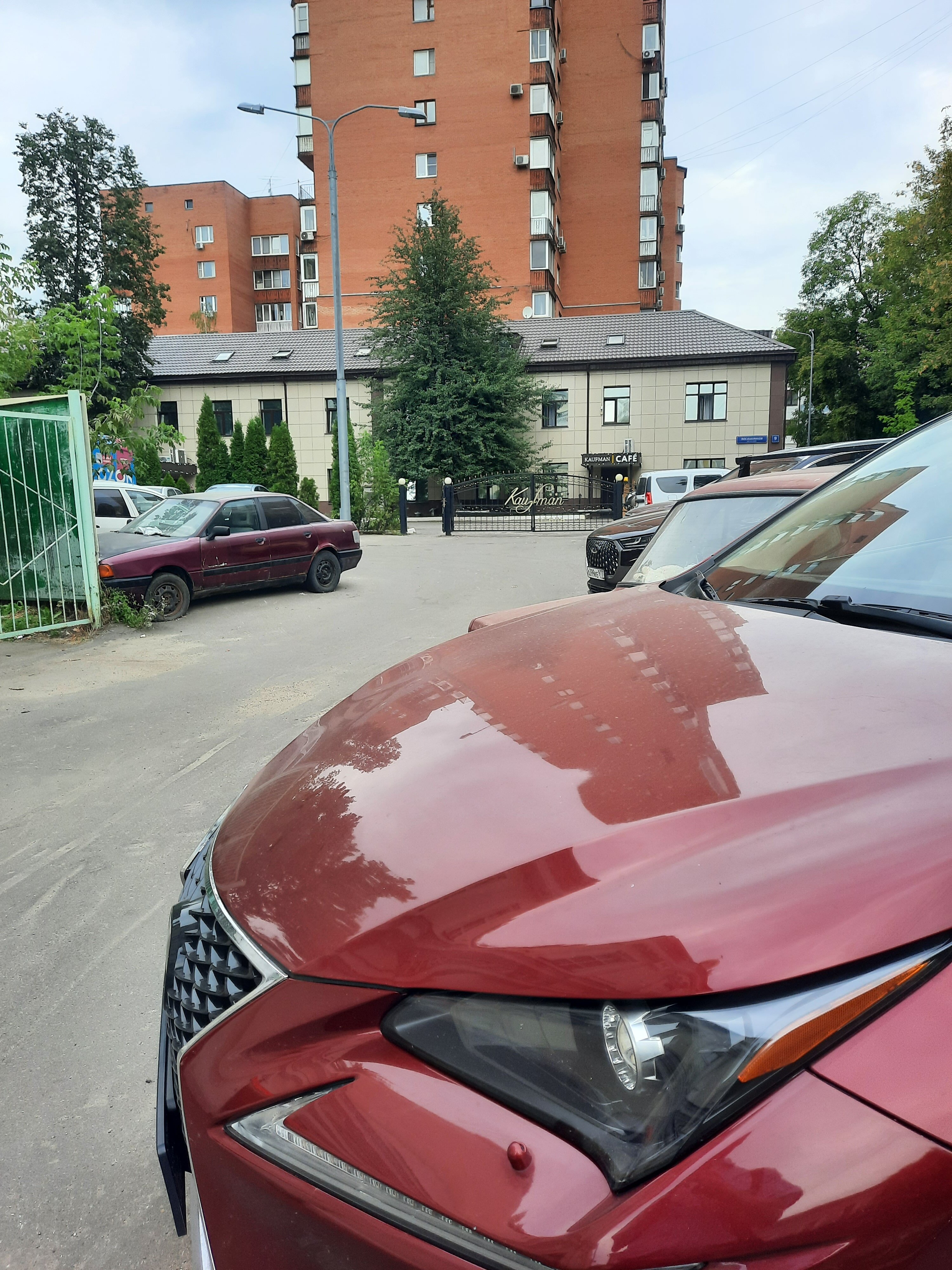 Фото Кауфман