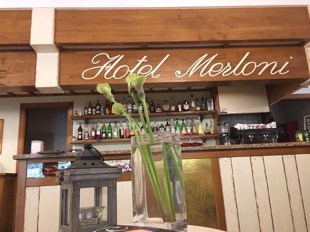 Фото Hotel Merloni