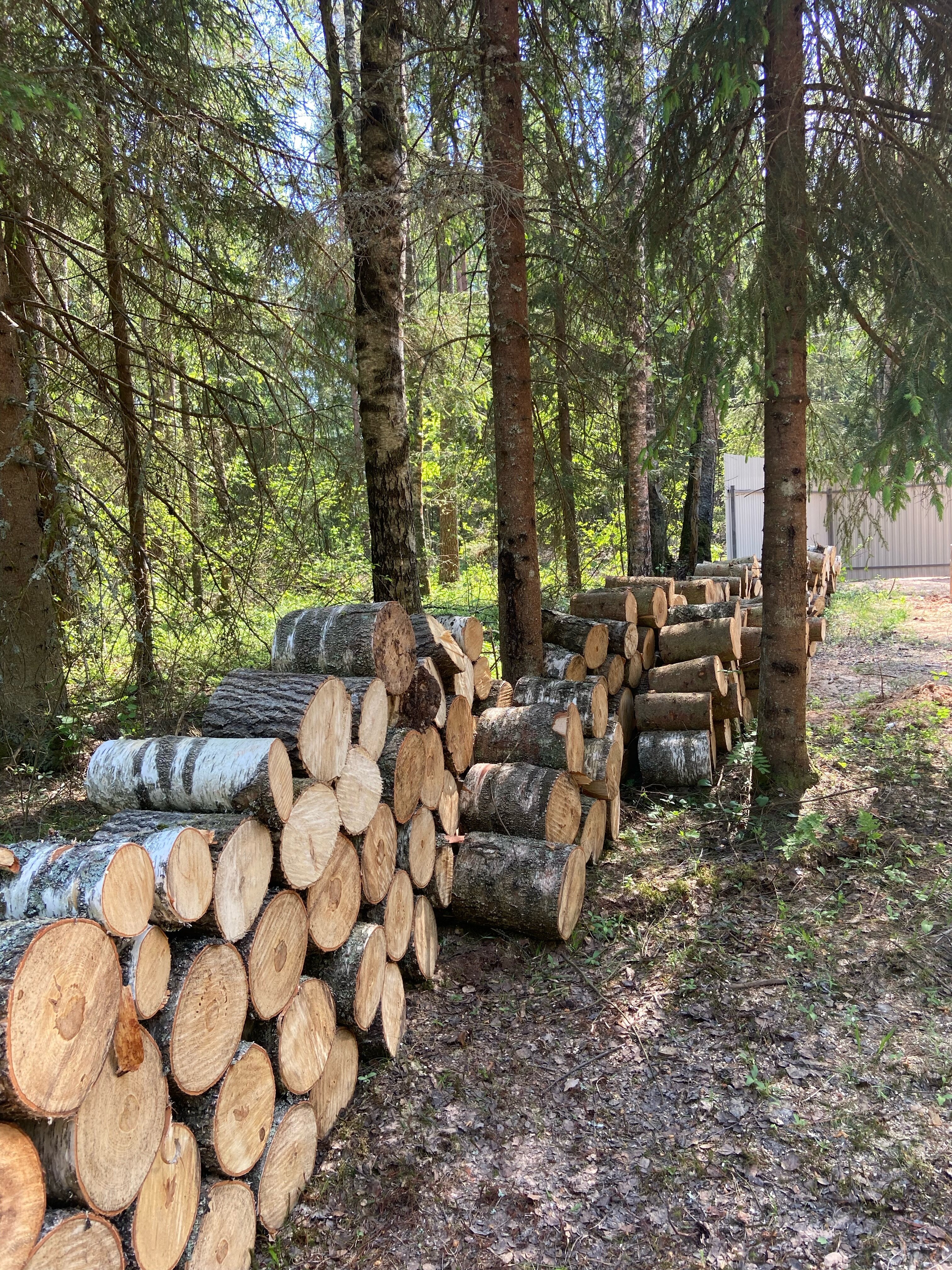 Фото A-frame Friday