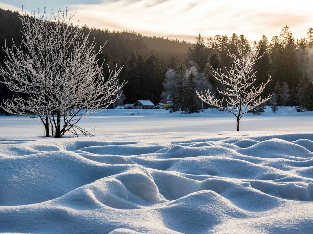 Фото Ibis La Bresse Gerardmer