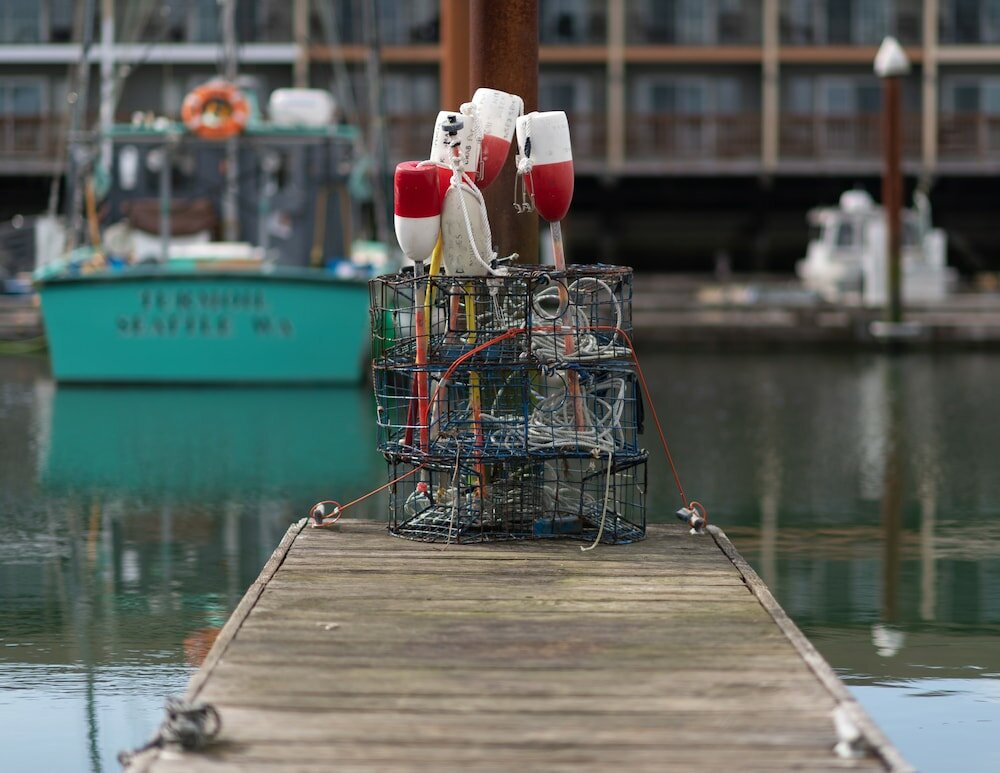 Фото Selina Commodore Astoria