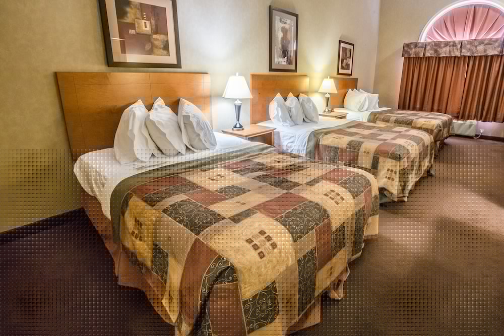 Фото Stettler Canalta