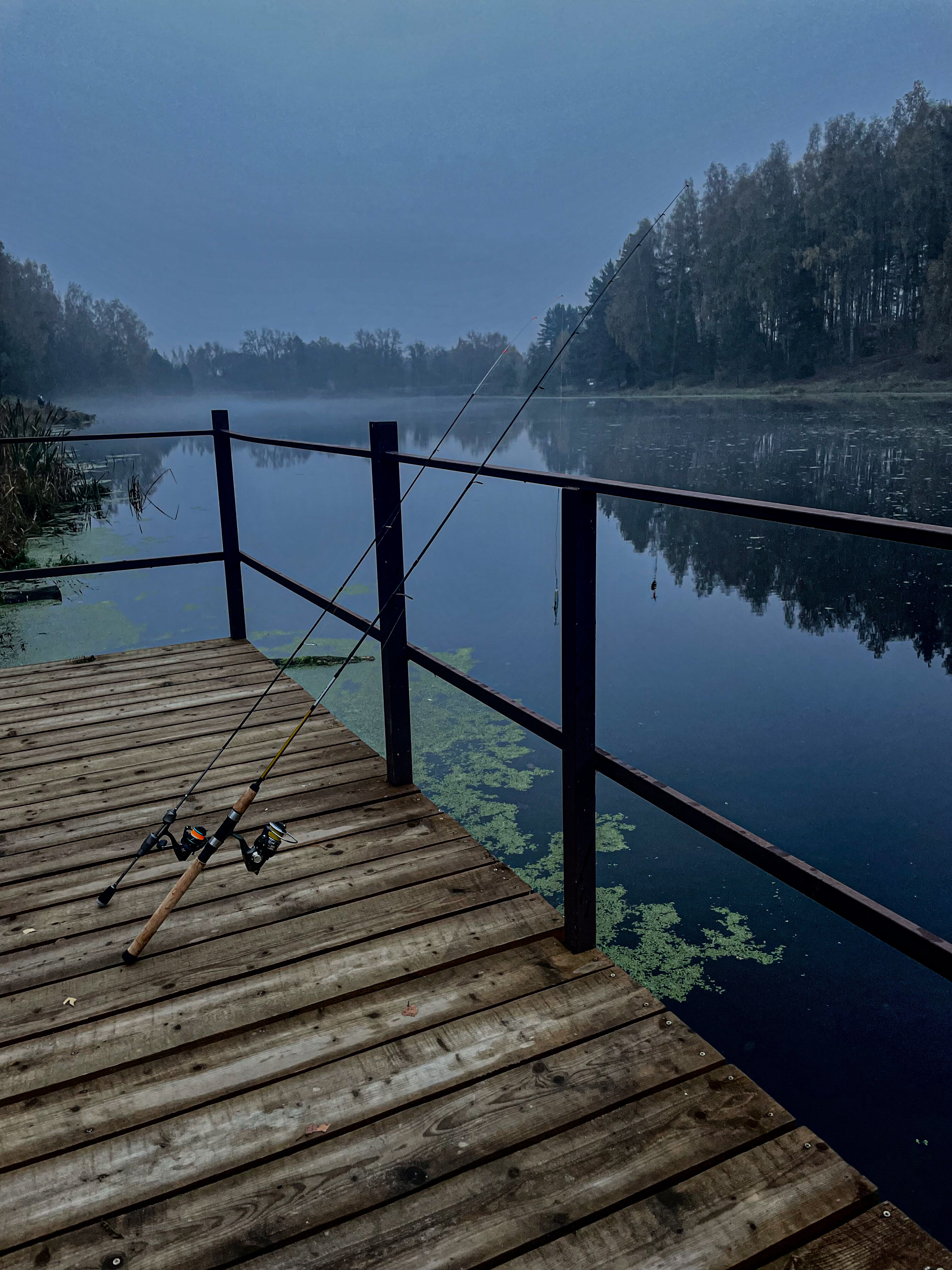 Фото Skazka в лесу