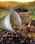 Luvoco Healthy Gourmet Coffee (İstanbul, Kadikoy, Koşuyolu Mah., Koşuyolu Cad., 90) ، بيع المواد الغذائية بالجملة