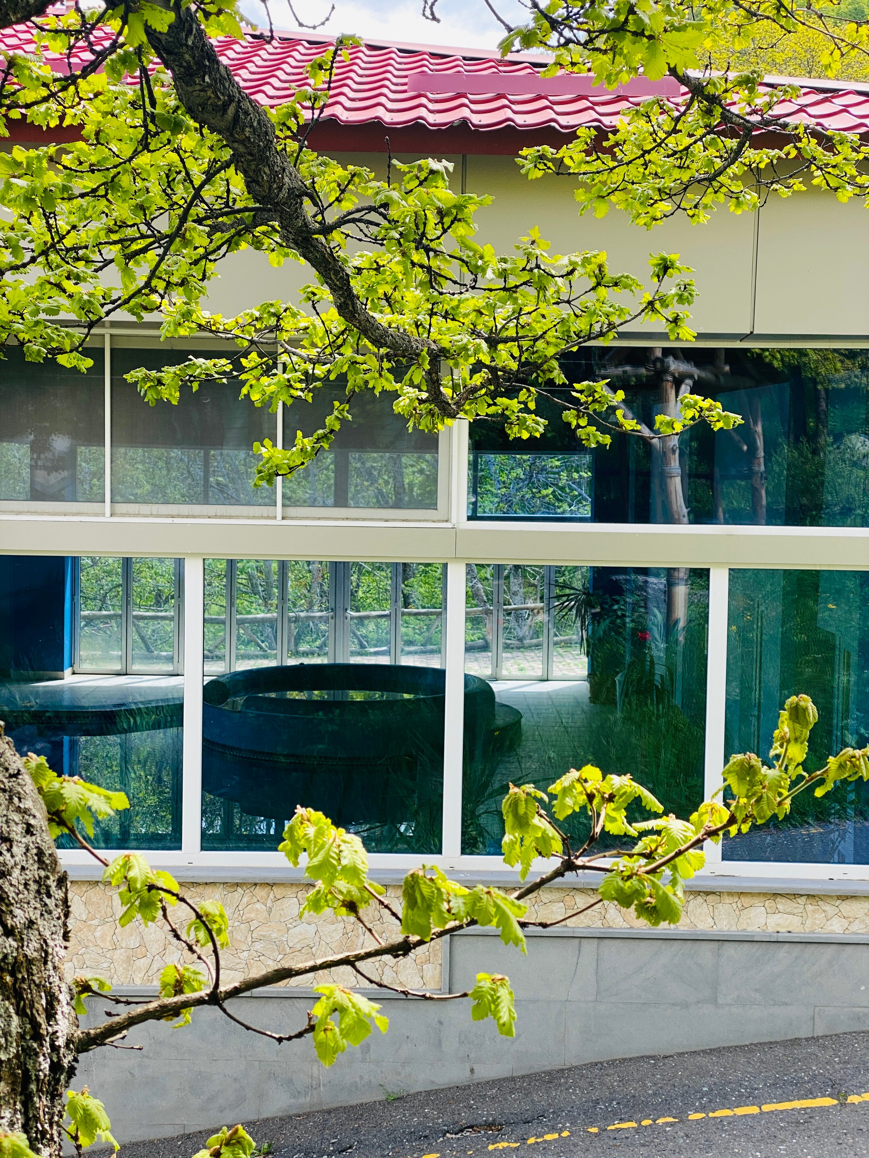 Фото Alva Hotel & SPA