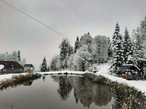 Яворова парк — фото 2