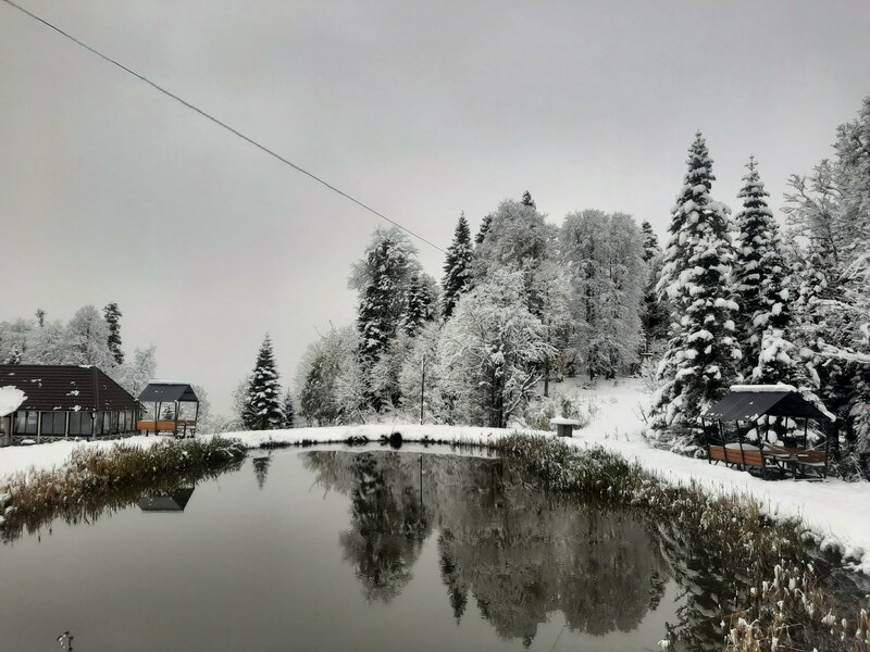 Яворова парк — фото 2