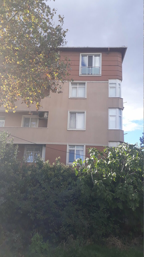 Haulage Macit Brothers Transport, Istanbul, photo