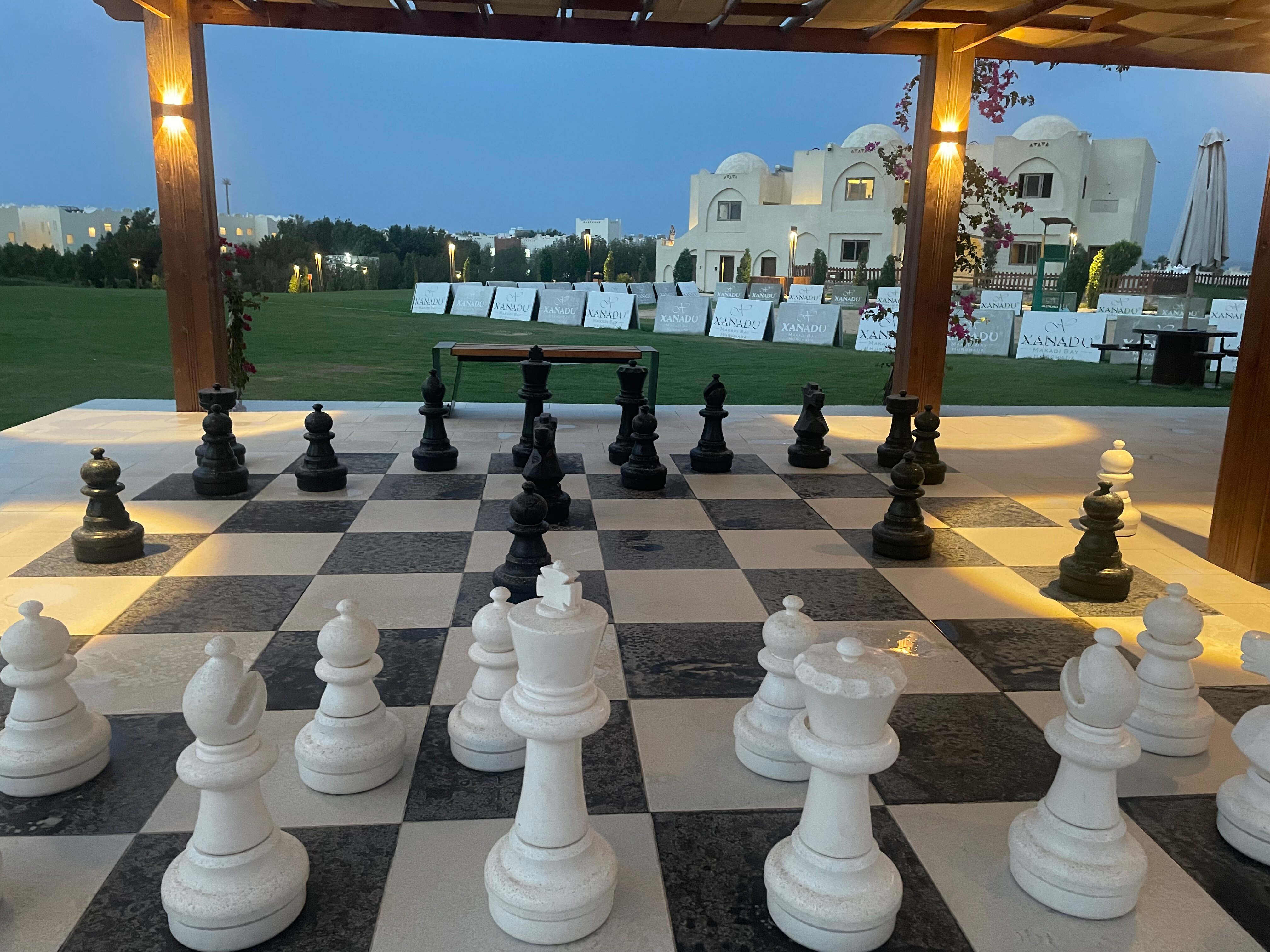 Фото 43410495811