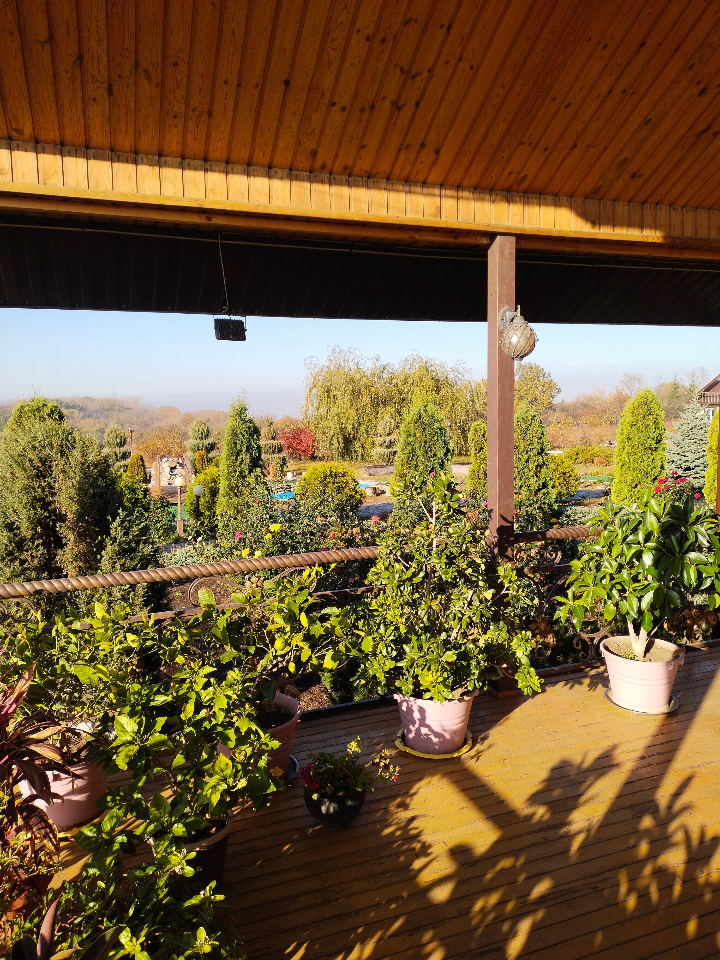 Фото Сириус