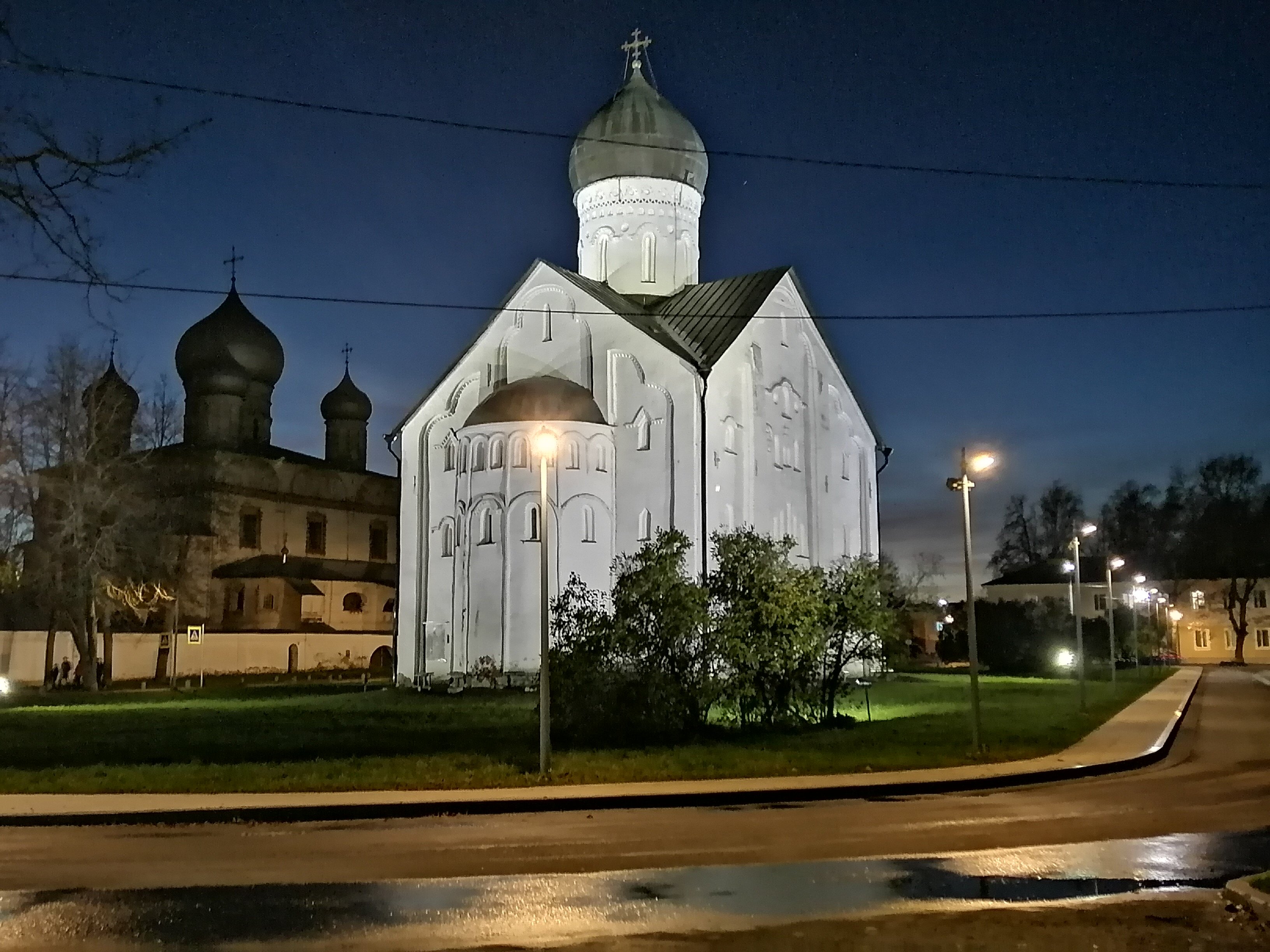 Фото Берёза