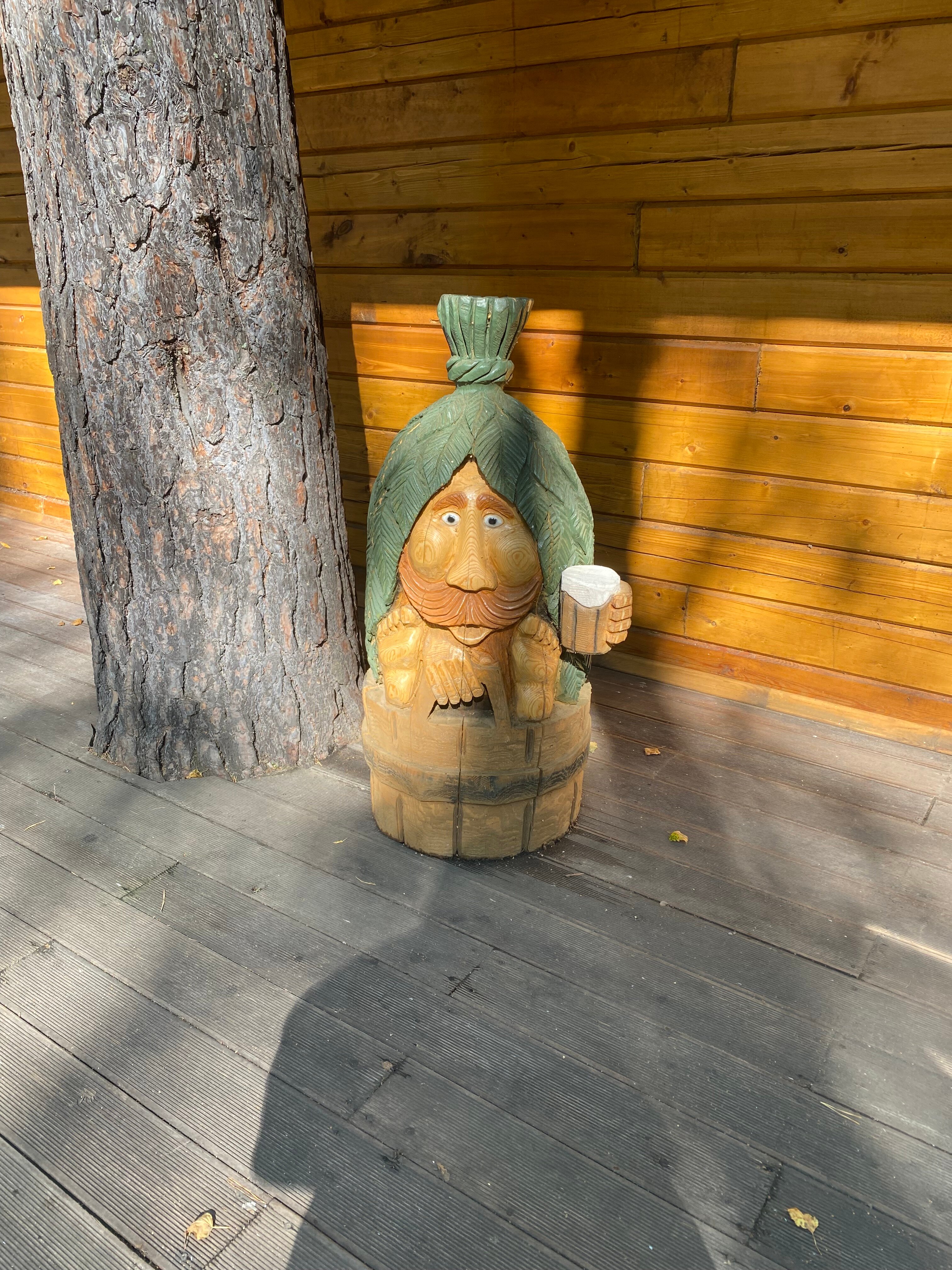 Фото Белая сова