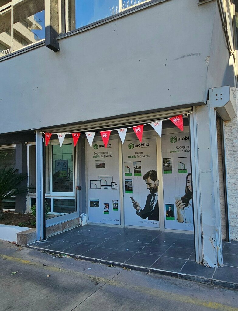 Monitoring of motor vehicles Mobiliz Tracking Systems, Adana, photo