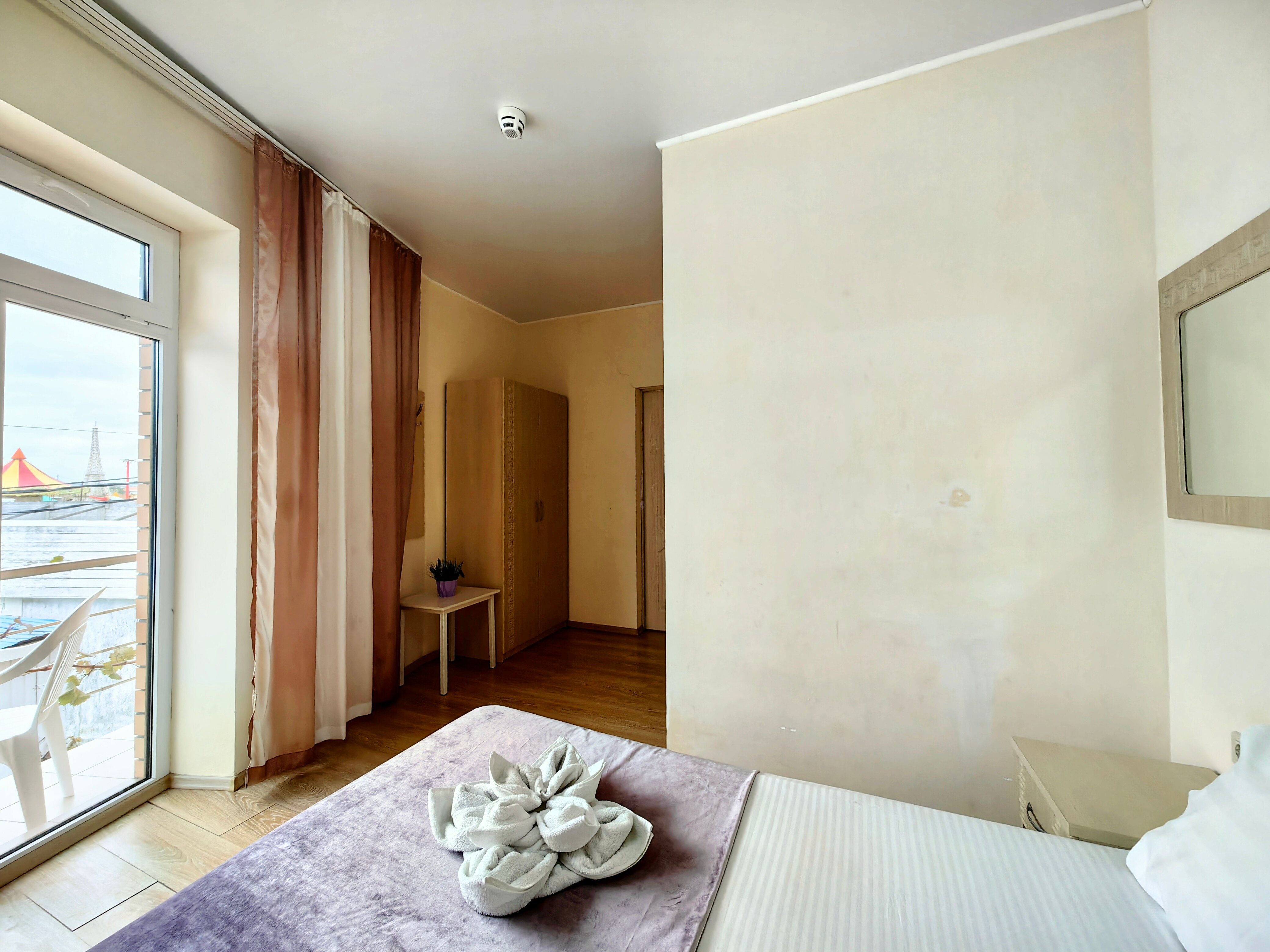 Фото Гиацинт