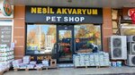 Nesil Akvaryum (Konya, Selçuklu, Şeyh Şamil Mah., Doç.Dr.Halil Ürün Cad., 23J) ، متجر للحيوانات الأليفة