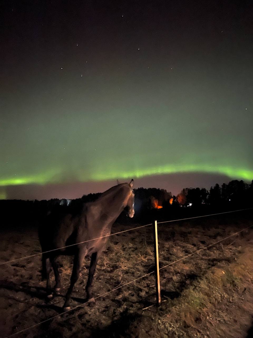 Фото Конюшенный двор