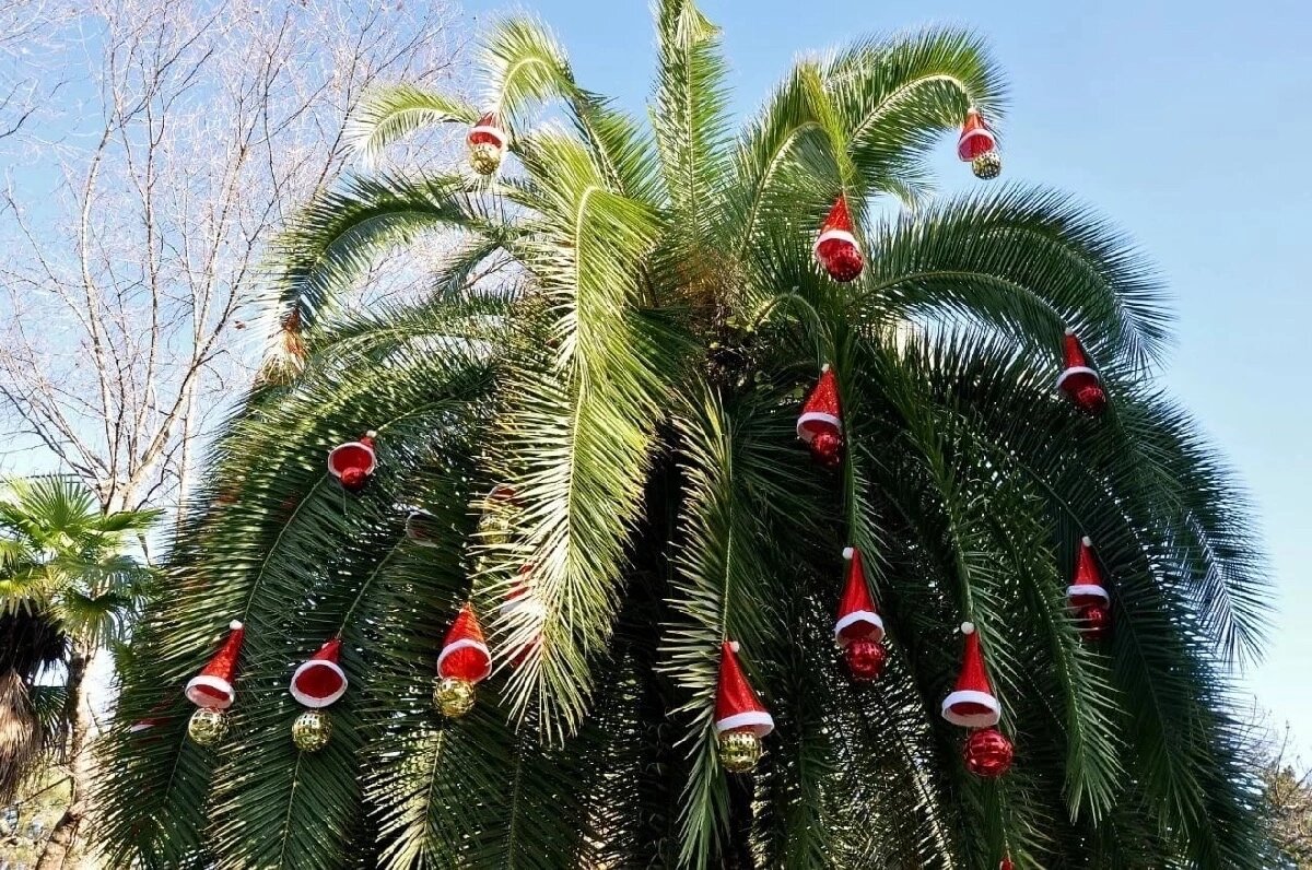 Фото Гостевой дом Делис