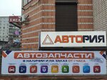 Autoria (ulitsa Rylenkova, 57А), tienda de repuestos y artículos para automóviles