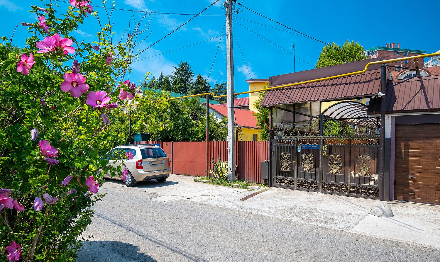 Фото Азалия Мимоза