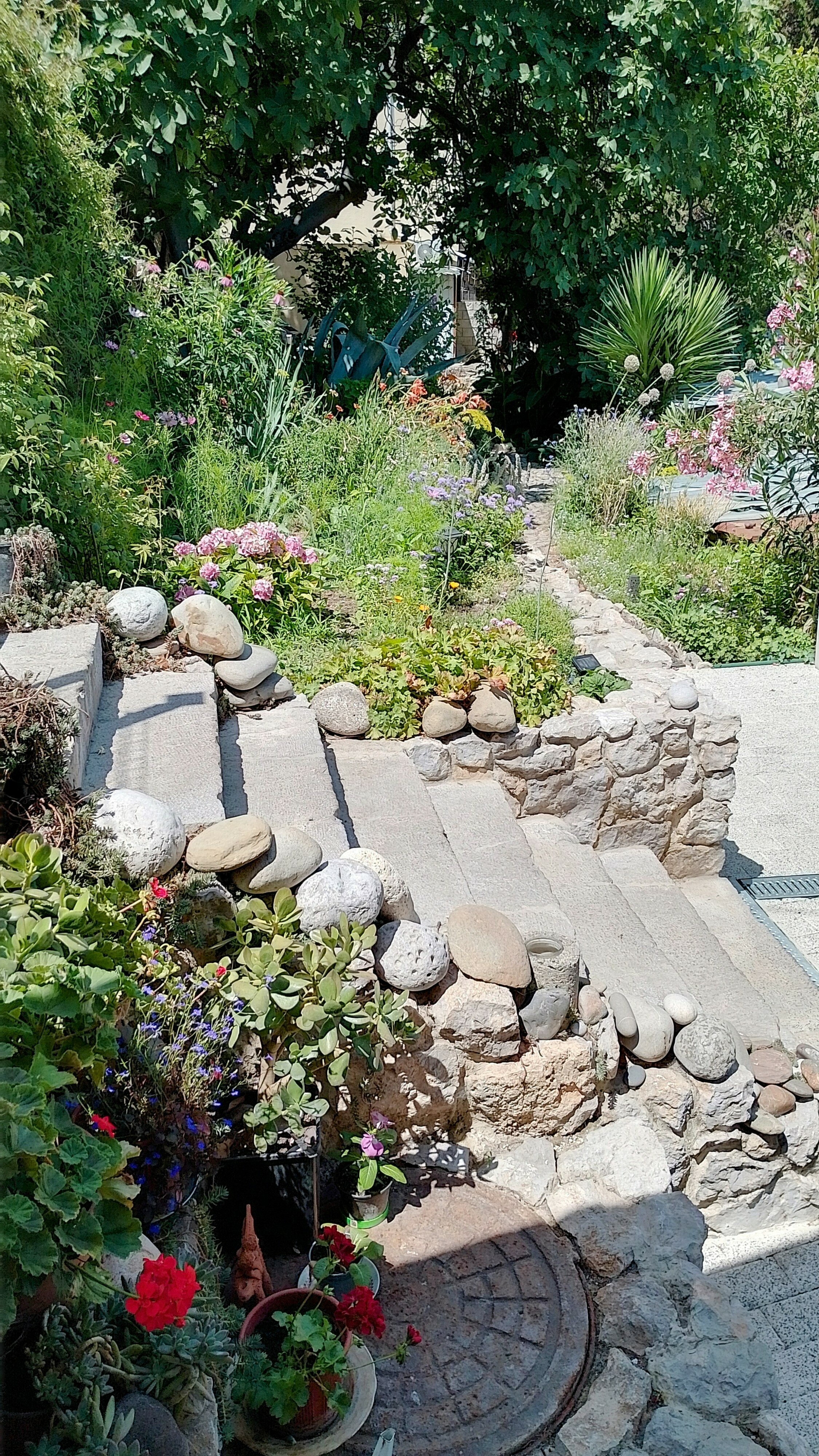 Фото Дача Аракина