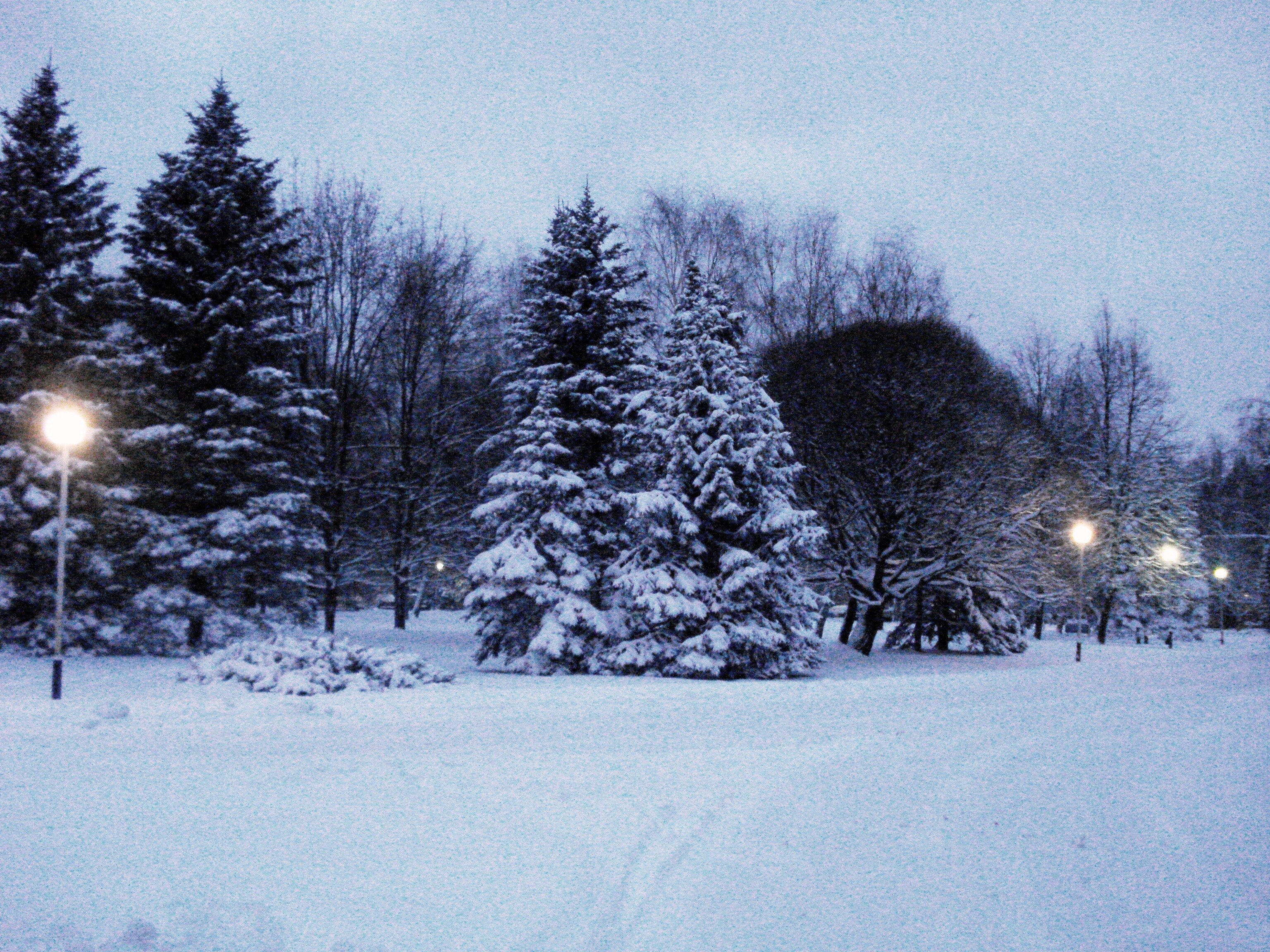 Фото Нагорное