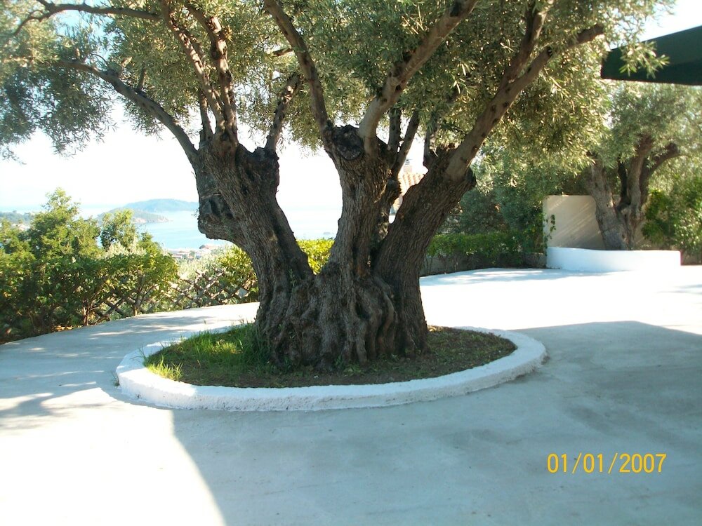 Фото Villa L&m Skiathos