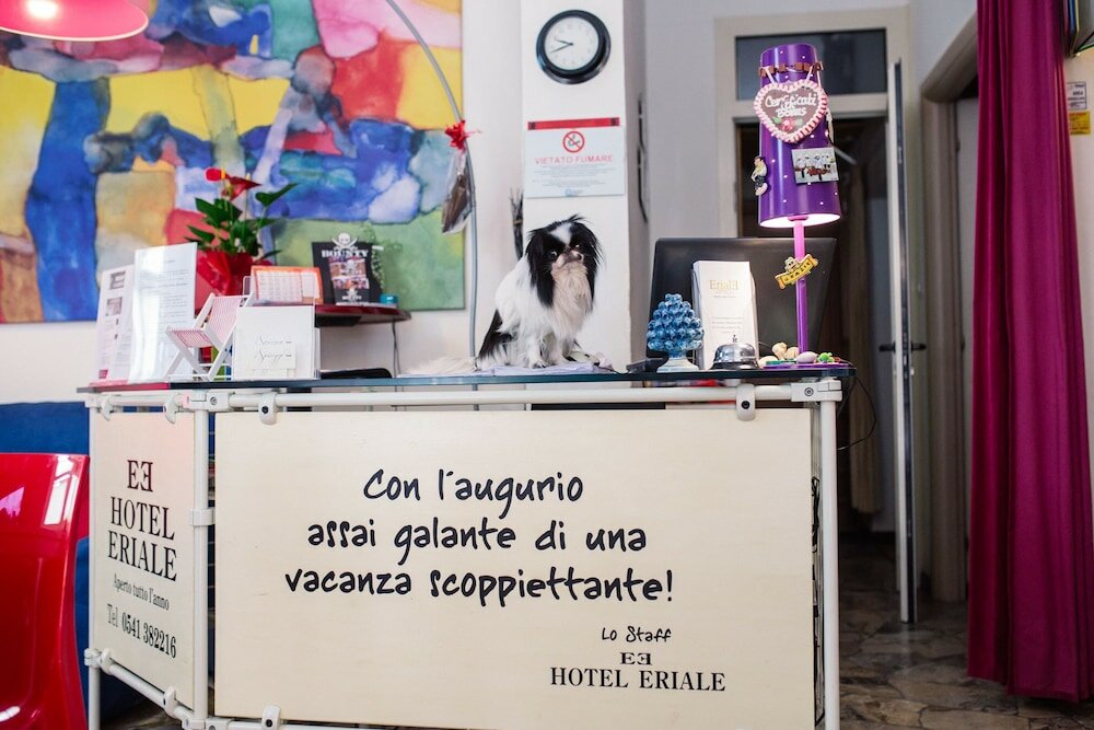Фото Hotel Eriale