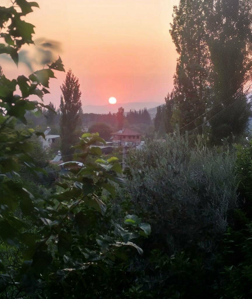 Mosque Dereağzı Neighborhood Mosque, Incirliova, photo