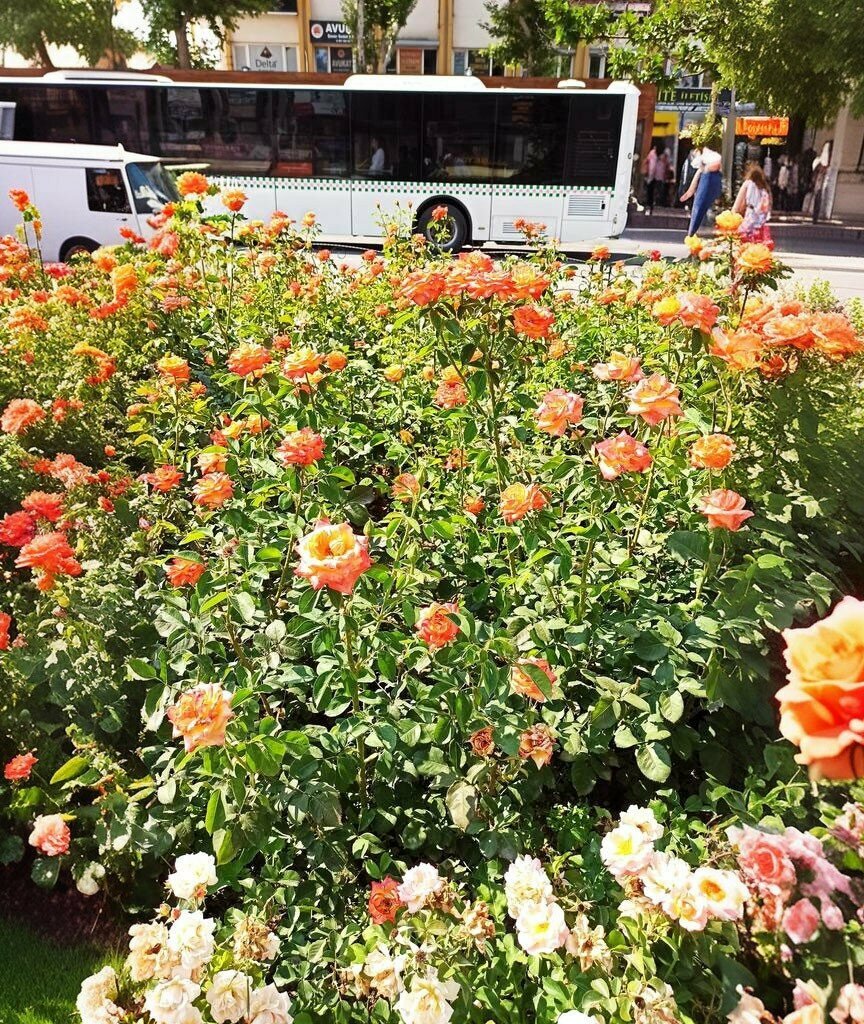 Clothing store Fulla Giyim, Isparta, photo