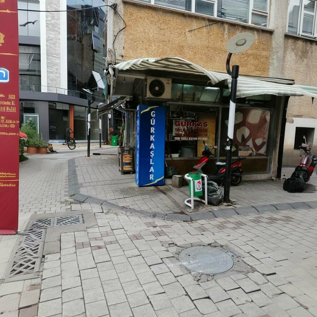 Dairy products shop Gurkaslar Gida, Kirklareli, photo