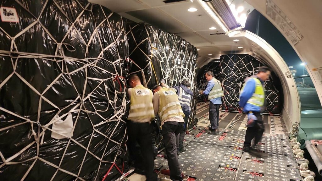 Airline Spacebee Airlines, Tashkent, photo