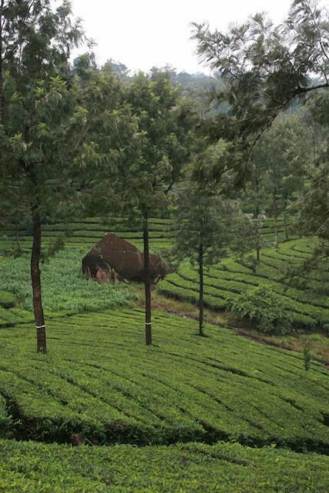 Фото Wild Elephant Eco-Friendly Resort