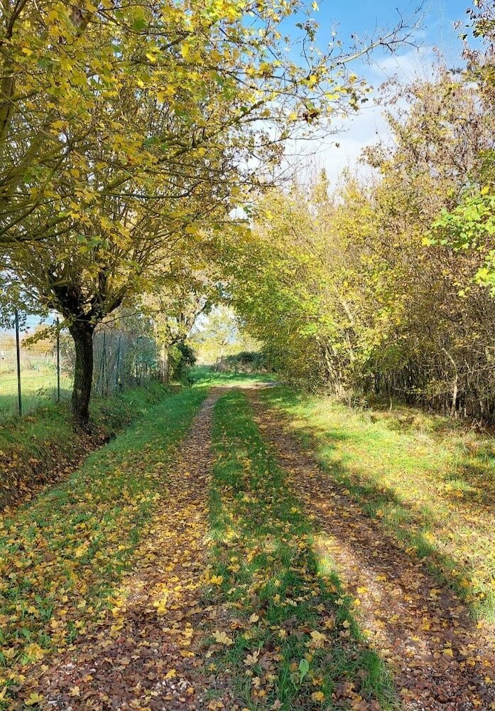Фото Cameracaffè sul Lago