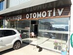 Calikusu Automotive (Izmir, Gaziemir District, Beyazevler Neighborhood, 570th Street, 1), car dealership