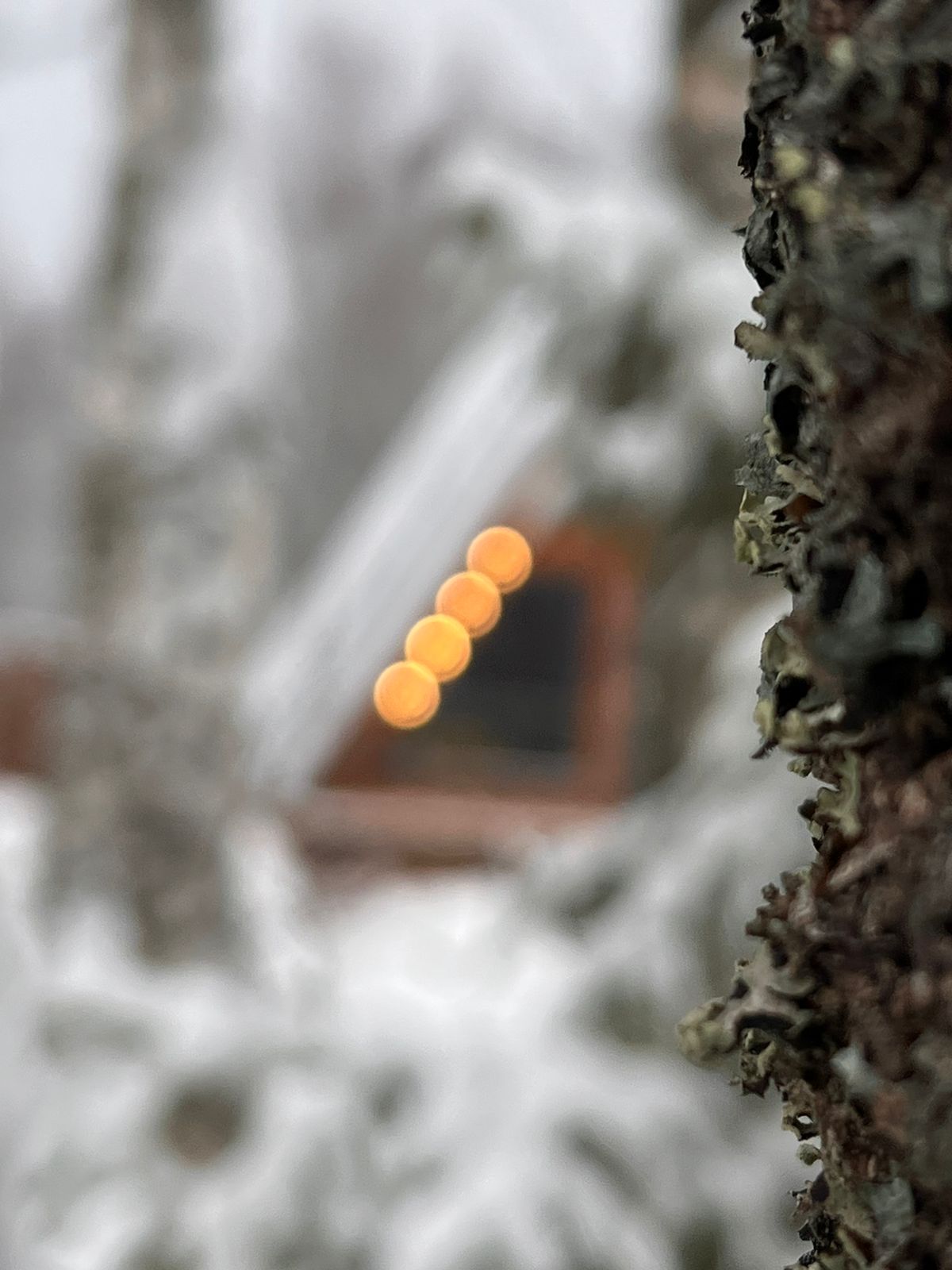 Фото Family Hive