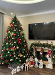Elochki. 39 (ulitsa Professora Baranova, 34), christmas trees and christmas decorations
