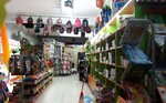 Masal Book House & Stationery (Bilecik, Söğüt, Ertuğrul Gazi Cad., 9/B) ، مكتبة
