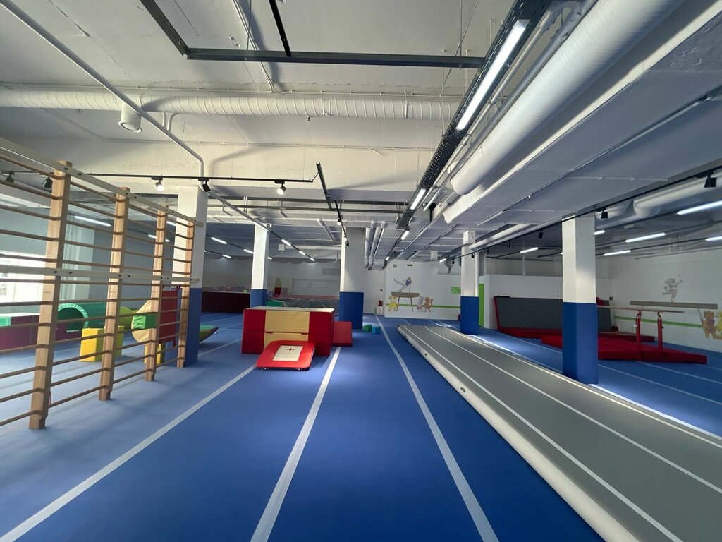 نادي رياضي، مجموعة European Gymnastics Center ، سان بطرسبرغ، صورة