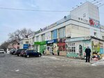 Atelye Chayka (ulitsa Boyko-Pavlova, 2), tailor