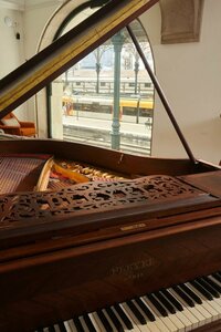 Гостиница The Passenger Hostel