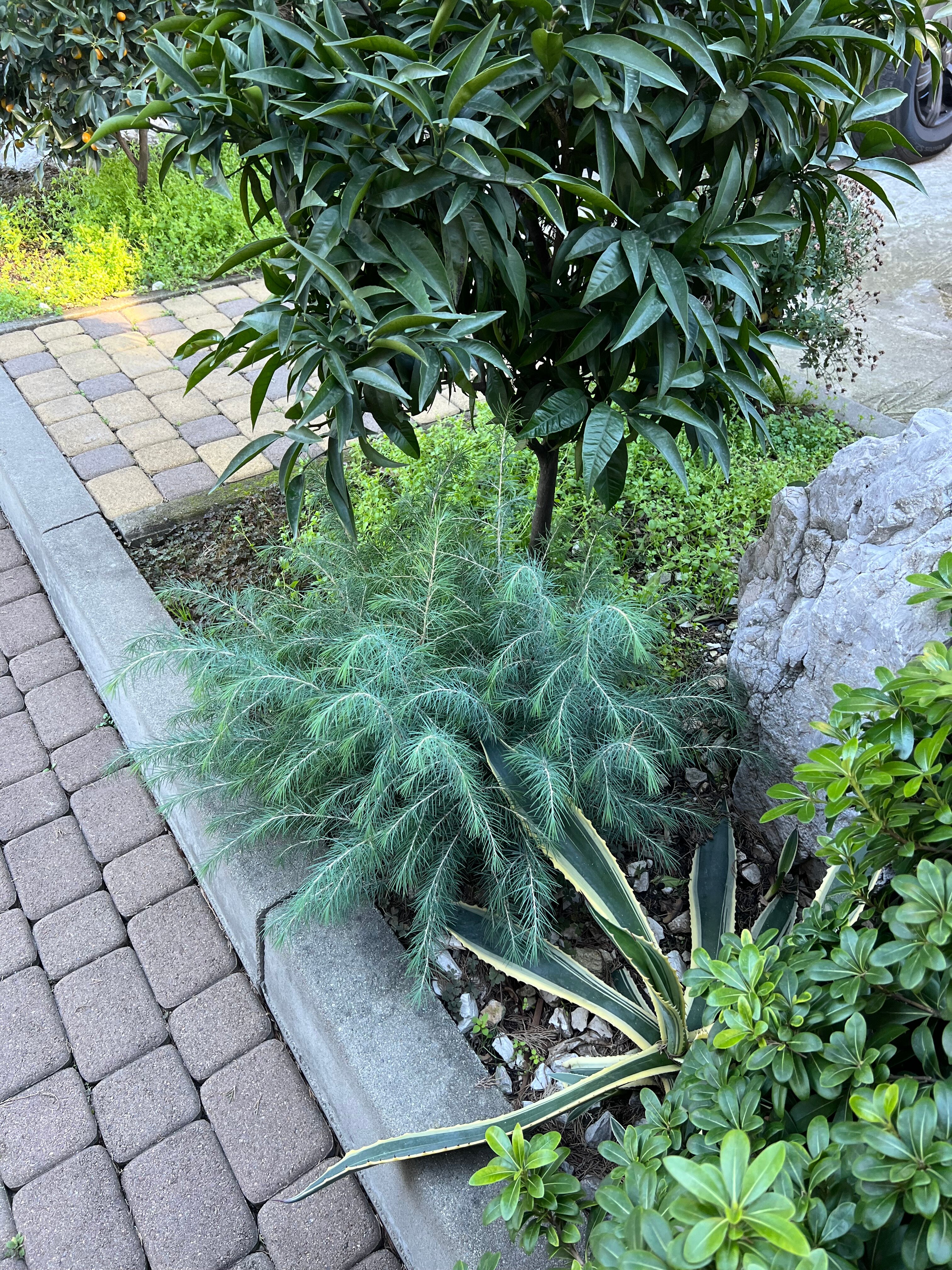 Фото Времена года