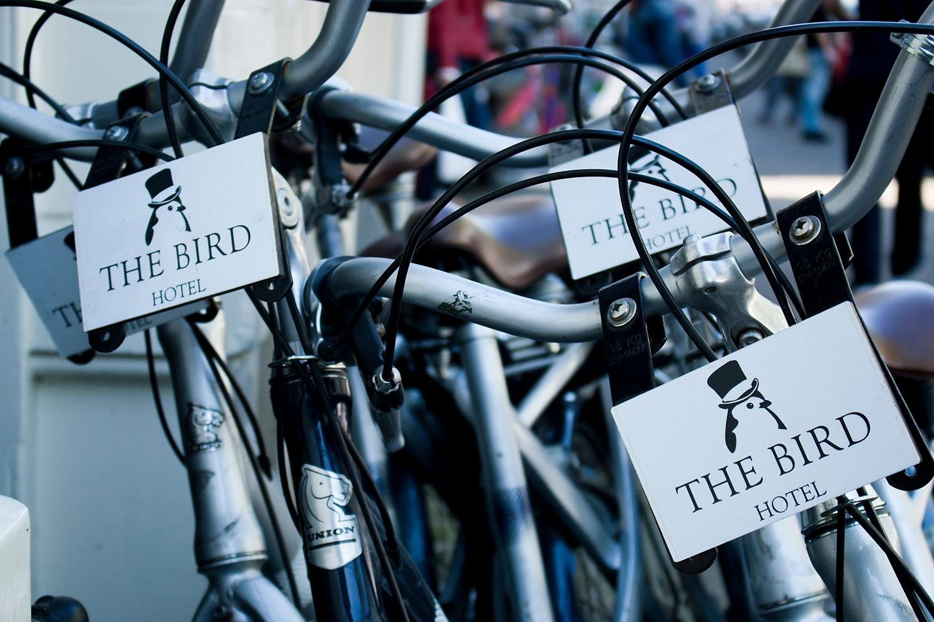 Фото Hotel The Bird