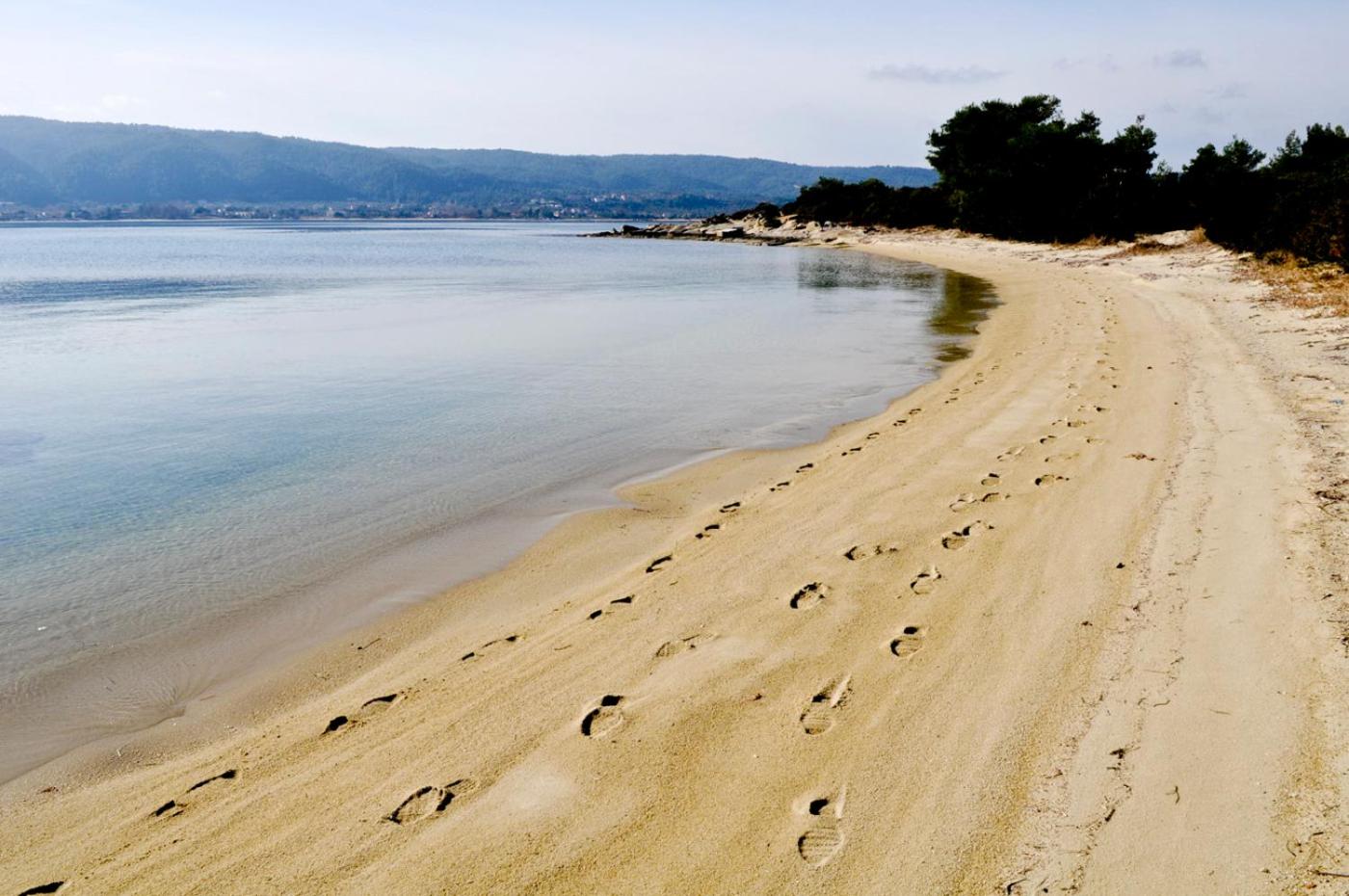 Фото Fillis House