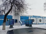 Боевое самбо (Karla Libknekhta Street, 7), sports club