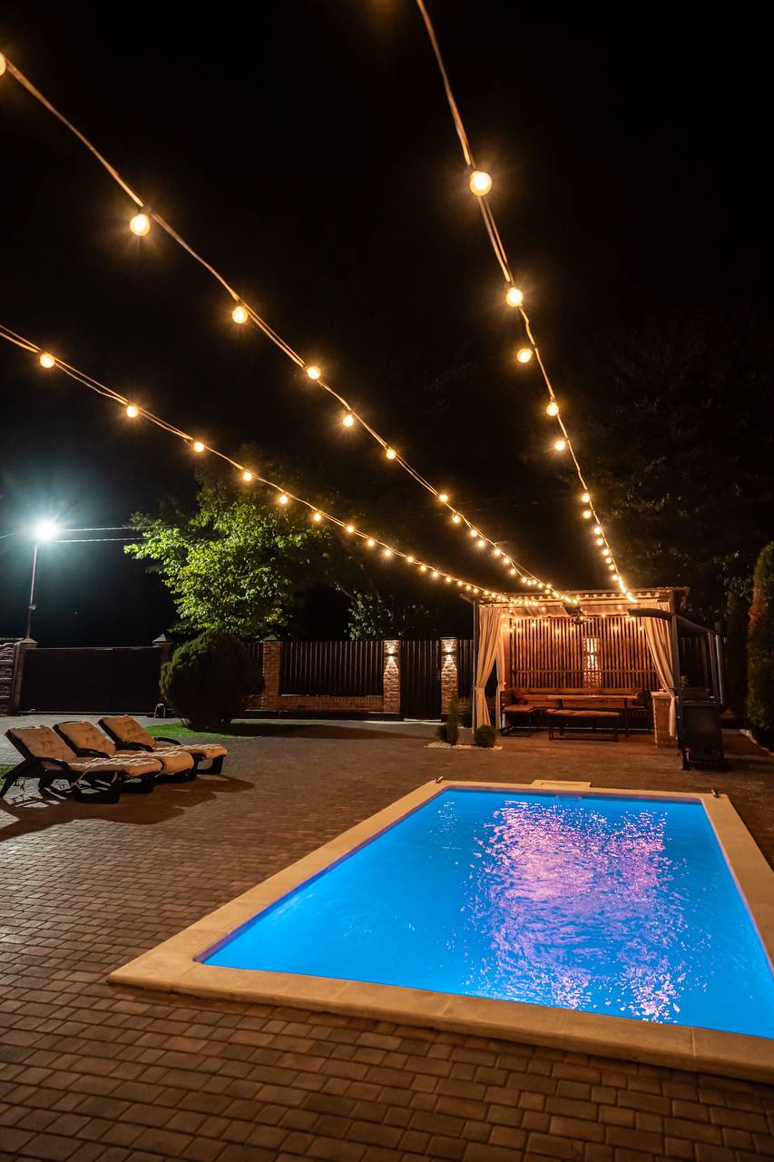 Фото Green forest