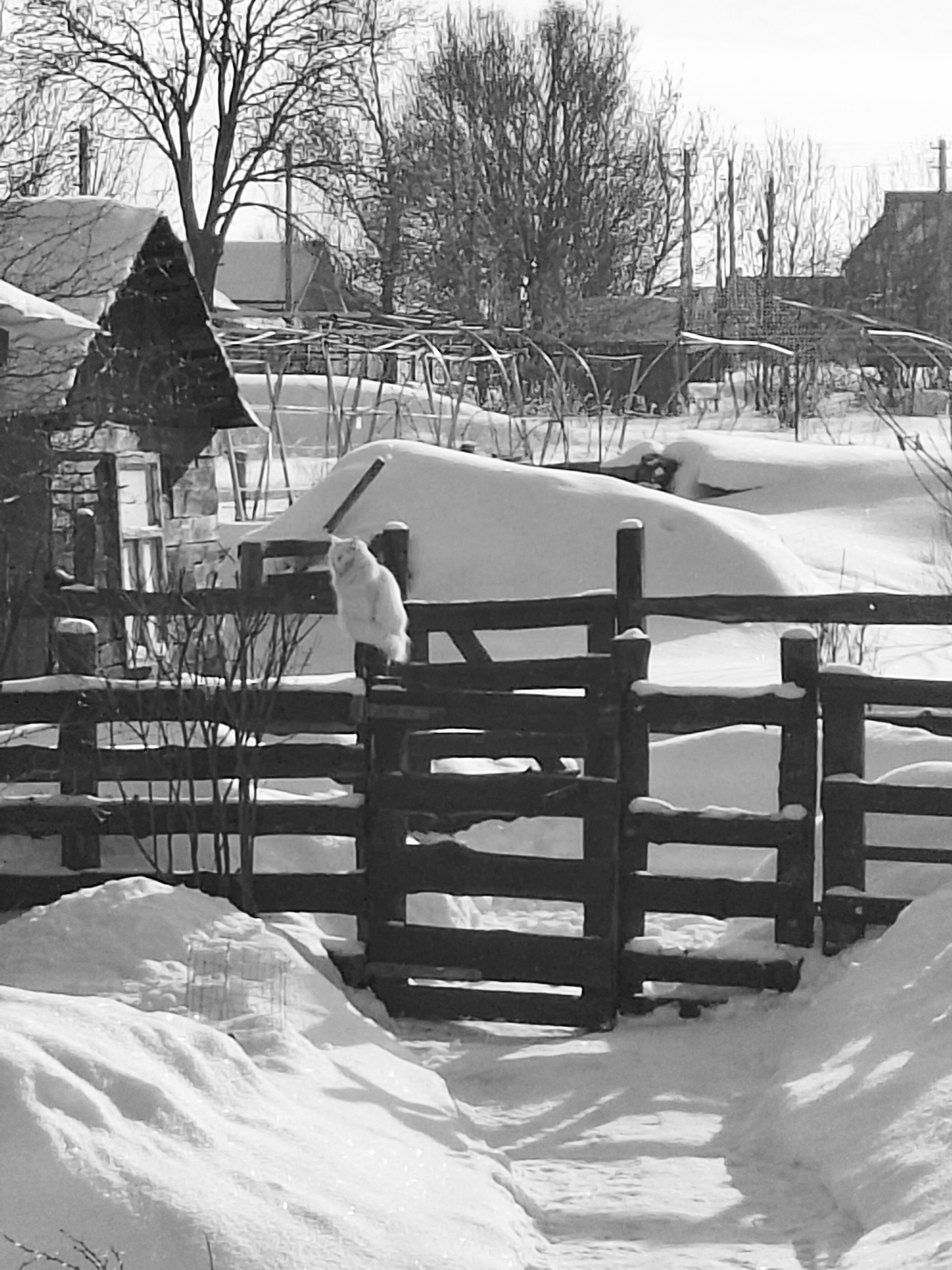 Фото Теплый хутор