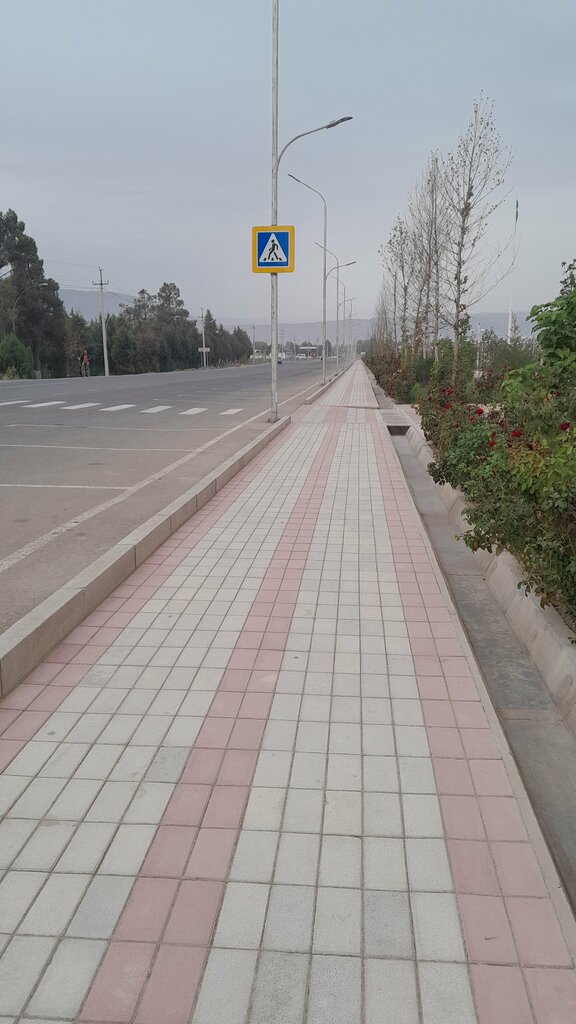 Freight forwarding Global Star Way, Chimkent, photo